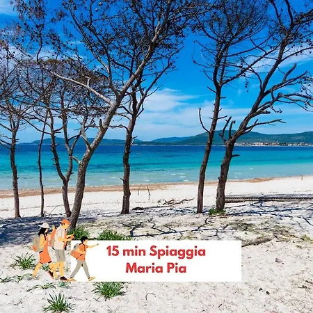 アパート 300m Dal Mare! - Aria Condizionata E Wi-fi アルゲーロ